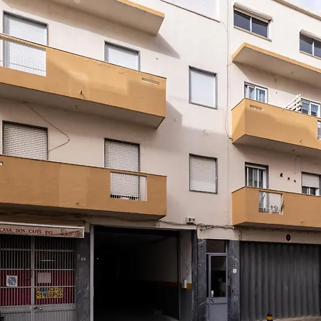 Akisol Cobalt * ファロ